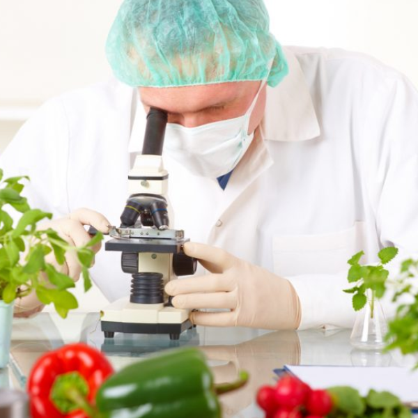 Tecnologia de processamento de produtos lácteos (3 horas)