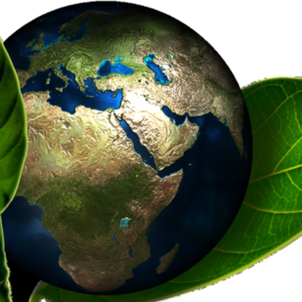IV FEIRA AMBIENTAL  DE ITACOATIARA