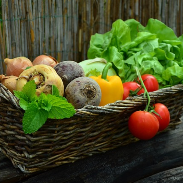 Feira de Produtos Orgânicos