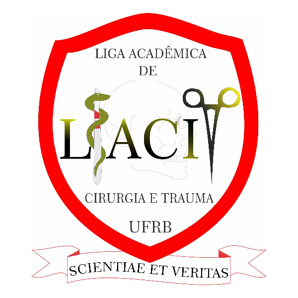 LIACIT - UFRB: Minicurso de Simulação de Imobilização e Remoção do Paciente Politraumatizado em Acidentes Automobilísticos 