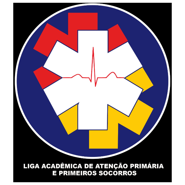 LAAPPS - UFRB: Minicurso "Como Lidar com Desmaio e Epilepsia"