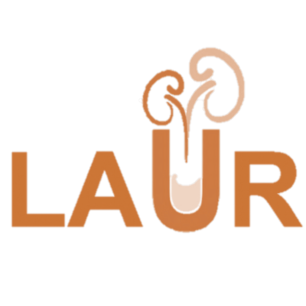 LAUR - EBMSP: Minicurso de Sondagem Vesical