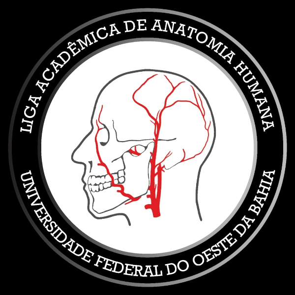 LAAH - UFOB: Minicurso de Angiotécnica Aplicada ao Estudo dos Vasos Coronarianos e Renais