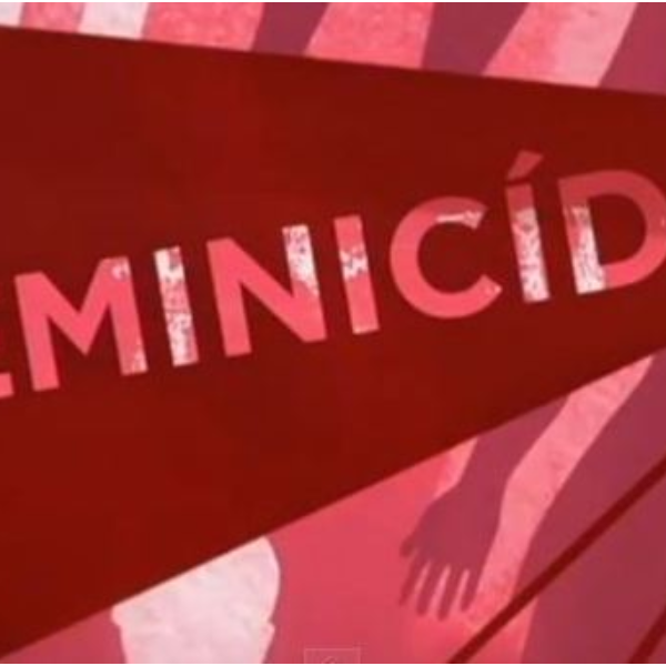 Feminicídio do Ponto de Vista Legal
