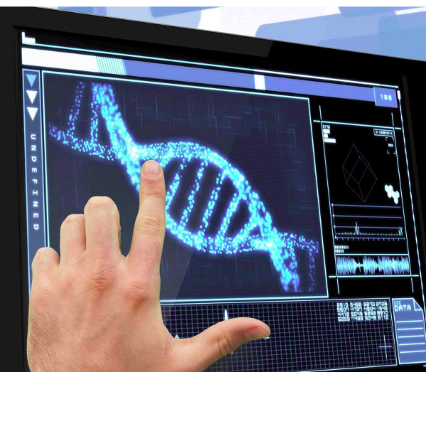 Conhecendo a Bioinformática: desafios e possibilidades