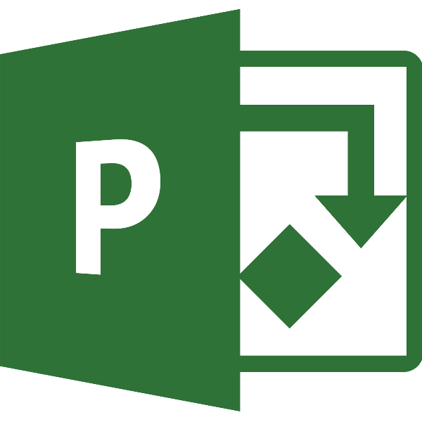 MS PROJECT