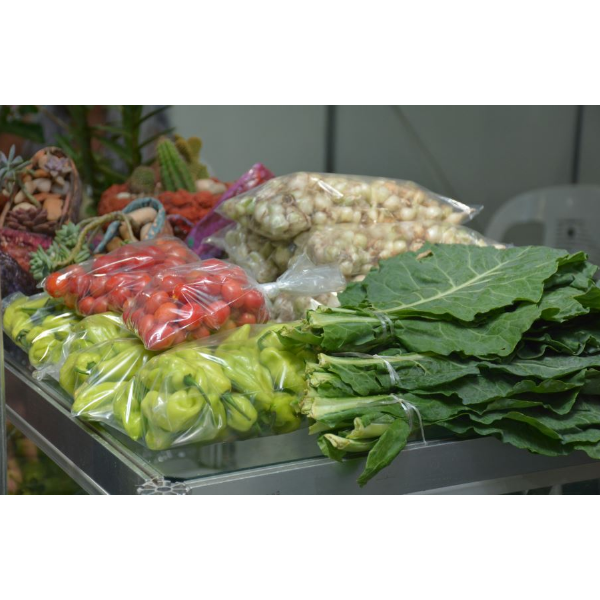 URBAN HACKING PRAÇA DA MATRIZ/SAÚDE - FEIRA DA AGRICULTURA FAMILIAR SUSTENTÁVEL.
