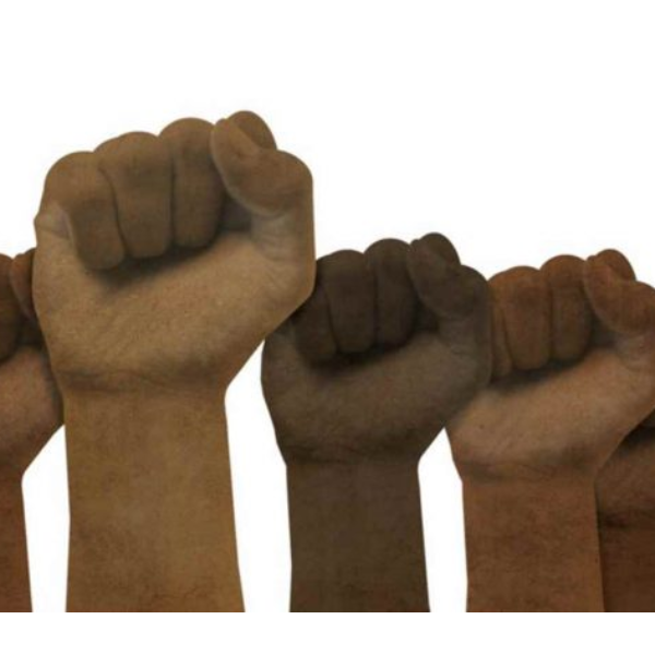 GT 2 – Currículo, Racismo e Formação de Consciência: o lugar social dos  negros e negras desde a educação básica até o ensino superior 