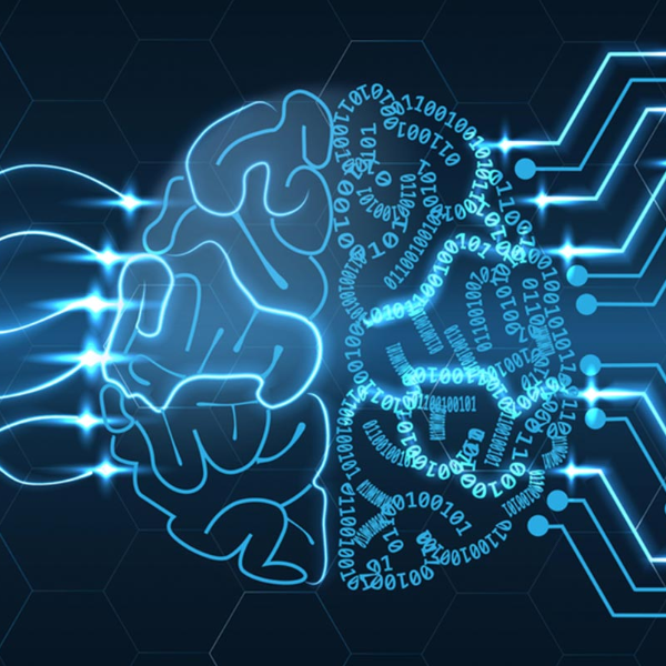 Contribuição das neurociências para a educação a distância