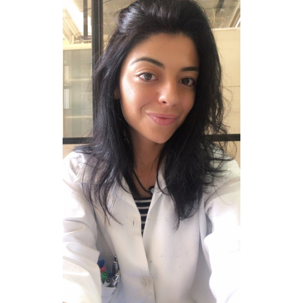 Neuroplasticidade x Aprendizagem