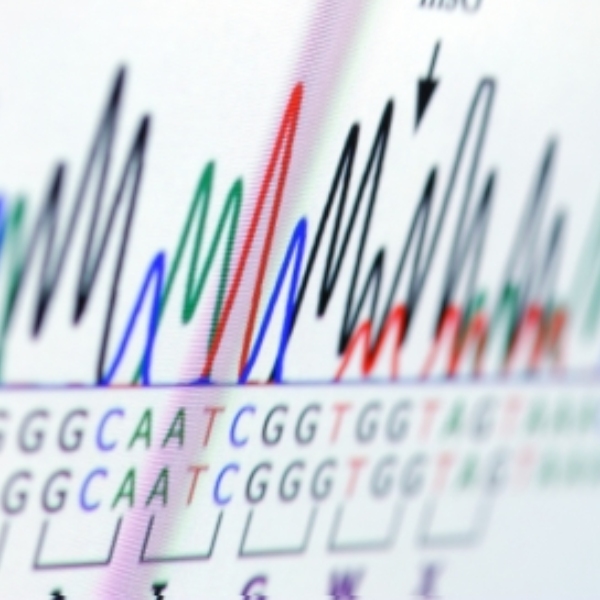 Minicurso 01: INTERPRETAÇÃO DOS EXAMES DE DNA NA ESFERA CRIMINAL.