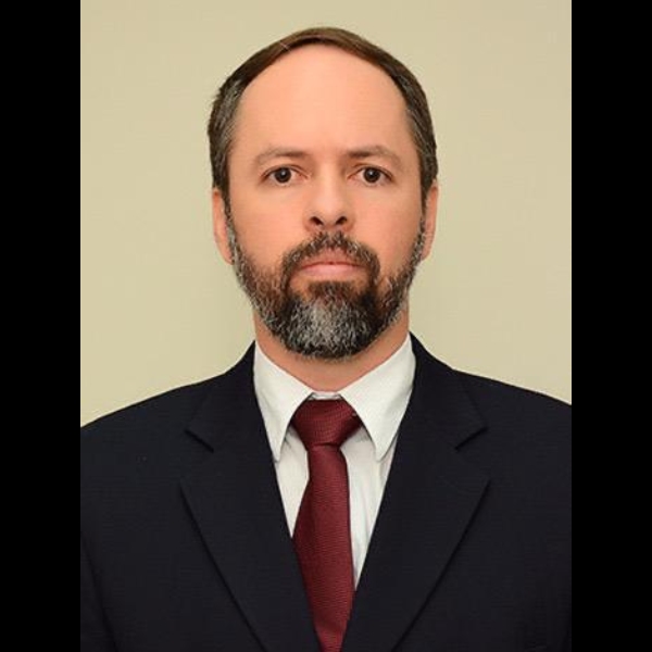 Estratégias para agilizar as ações de destituição do poder familiar e a fiscalização/acompanhamento de crianças e adolescentes acolhidas