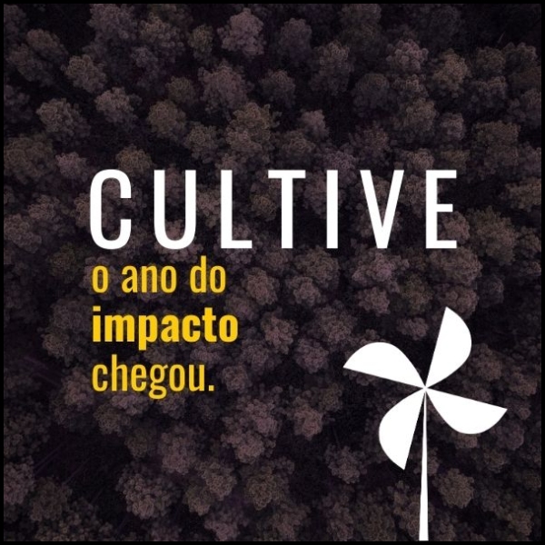 Brasil, nós não Fugimos a Luta