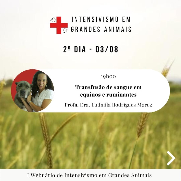 Dia 2 - 03/08 - Transfusão de sangue em equinos e ruminantes