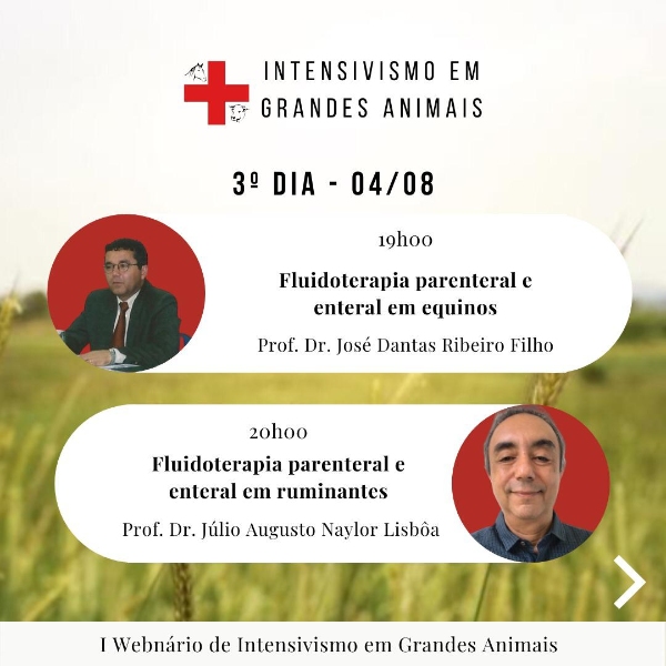 Dia 3 - 04/08 - Palestra 1 - Fluidoterapia parenteral e enteral em equinos