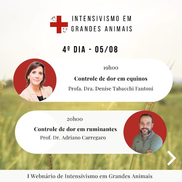 Dia 4 - 05/08 - Palestra 1 - Controle de dor em equinos