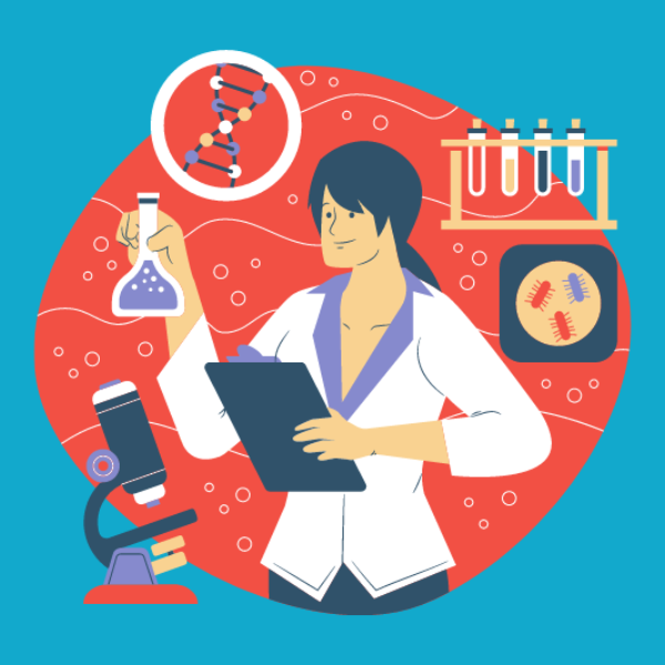 Biotimize - criação e desenvolvimento