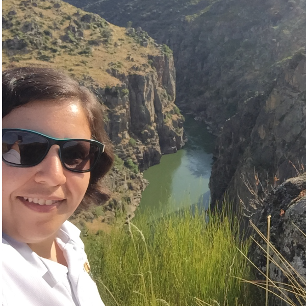 Desafios e perspectivas dos Objetivos de Desenvolvimento Sustentável em Geoparques Mundiais da UNESCO na América Latina