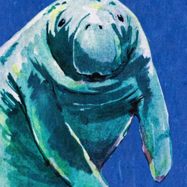 Atividade Choque 1 - 2