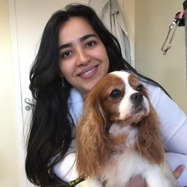 Diabetes Mellitus em  Cães e Gatos