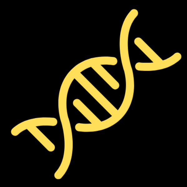 Minicurso - Transformação bacteriana e extração de DNA plasmidial - Miniprep