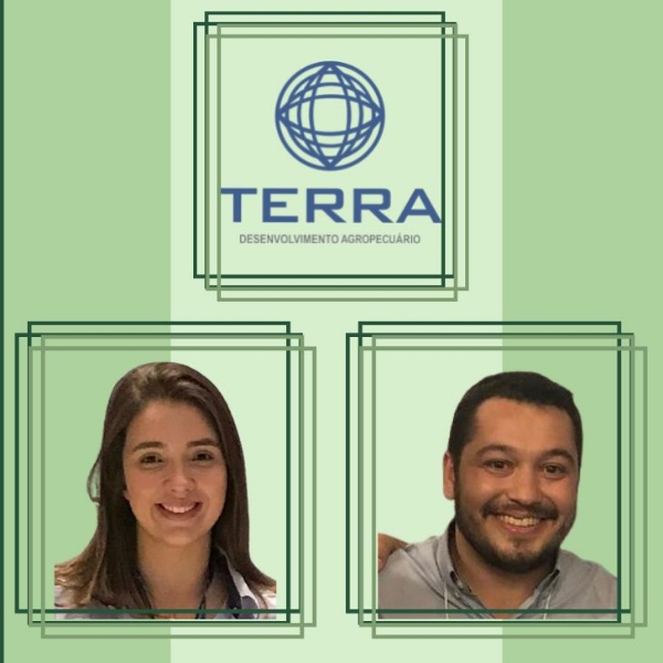 A gestão lucrativa na pecuária