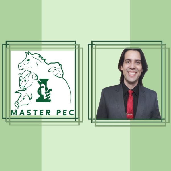 Desvendando a área comercial  Teórico-prático