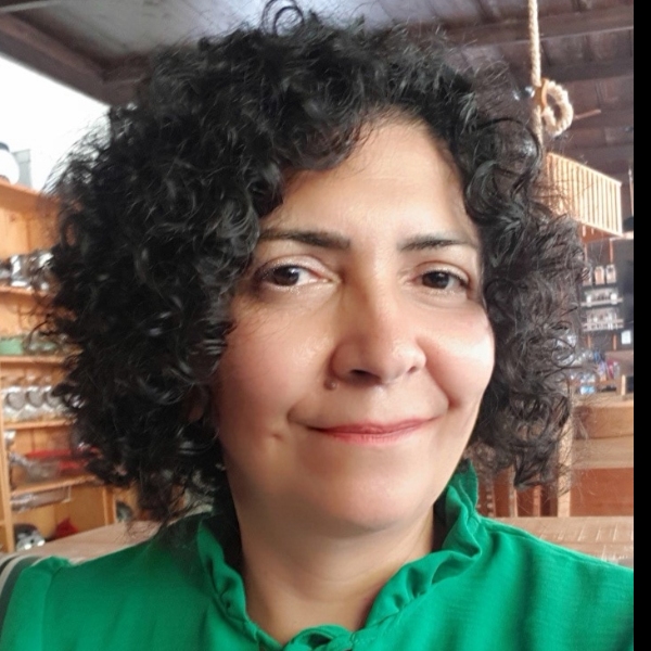 GT - Direitos da Mulher coordenado pela Dra Eliaidina Wagna