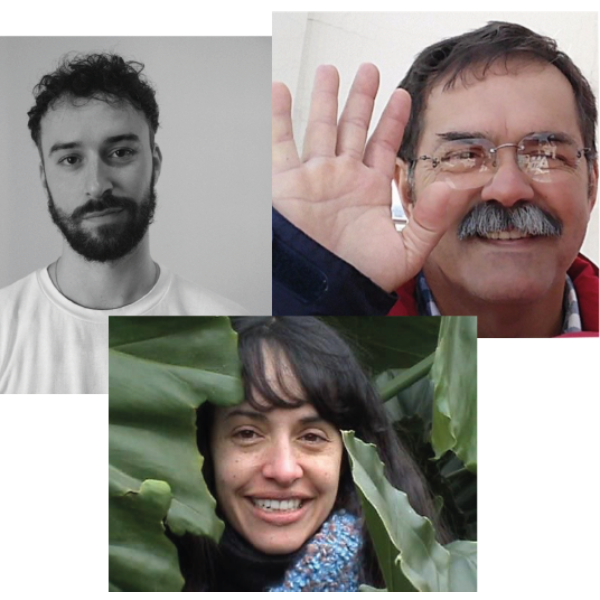 Arte e perspectivismo ambiental