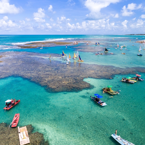 Opcional - Passeio Turístico - Porto de Galinhas