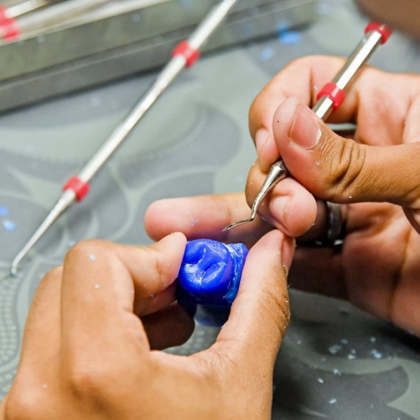 Hands on - Anatomia e escultura em dentes posteriores