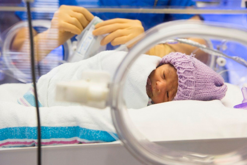 A fisioterapia respiratória em bebes bronquiodisplasicos.