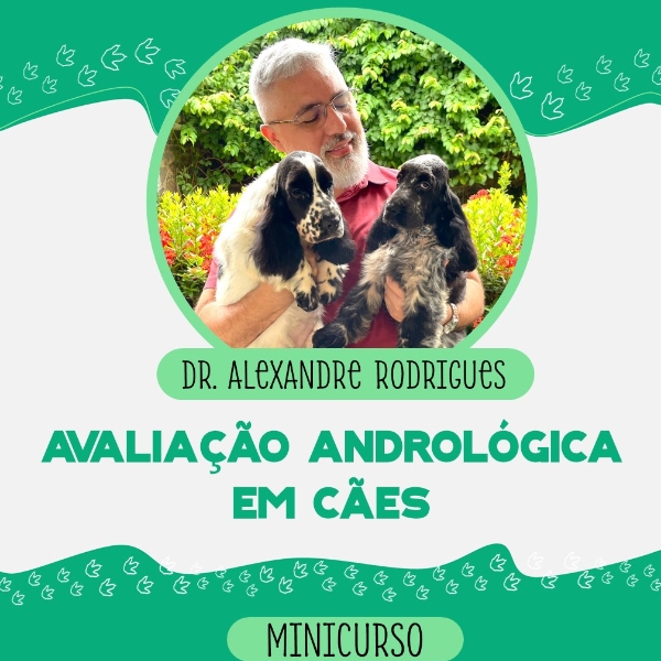 Avaliação andrológica em cães