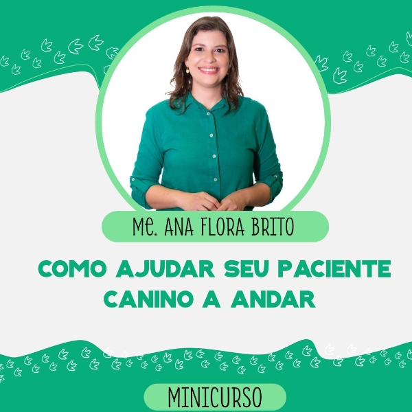 Como ajudar seu paciente canino a andar