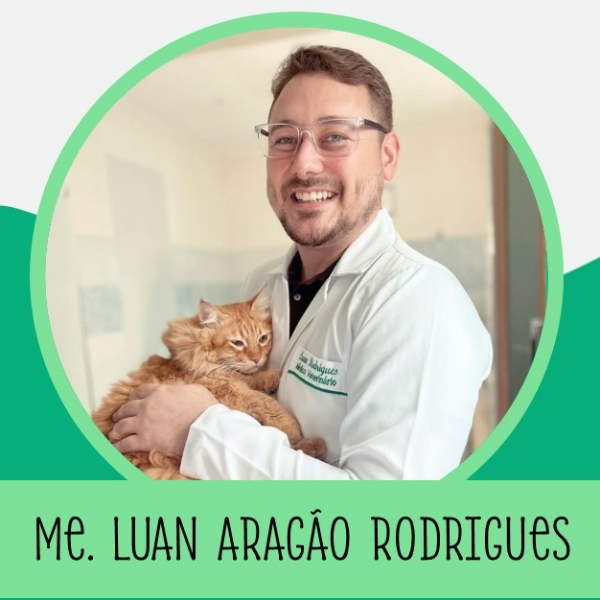 Ultrassonografia abdominal: o que encontrar? – Prof. M.Sc. Luan Aragão Rodrigues (UFERSA)