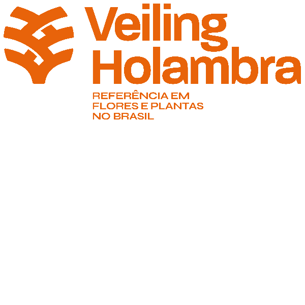 Visita Técnica 2: Veiling Holambra