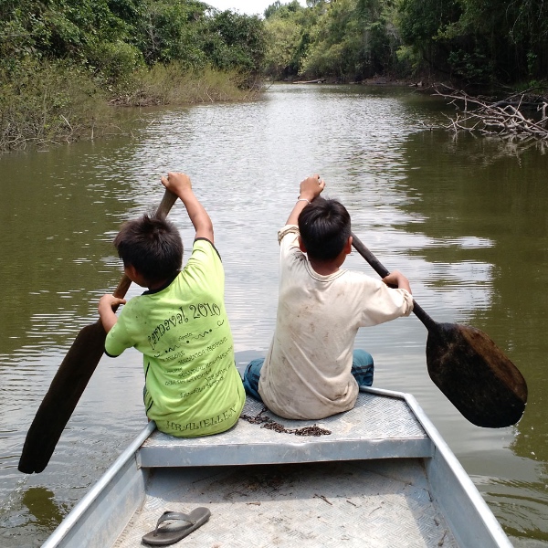 Culturas, Saberes, Práticas e Diversidade da Amazônia