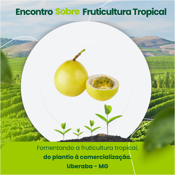 SISTEMA DE PRODUÇÃO DE MARACUJÁ - CULTIVARES, PROPAGAÇÃO E MANEJO