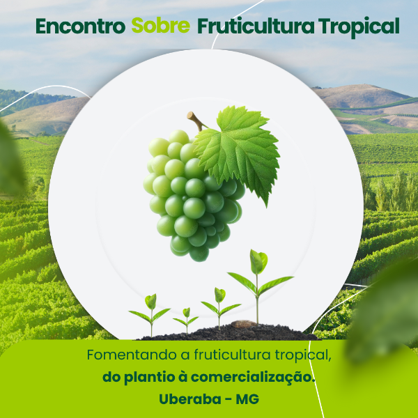 PANORAMA DE PRODUÇÃO DE UVA - DESENVOLVIMENTO DA VITIVINICULTURA NO SUDESTE BRASILEIRO