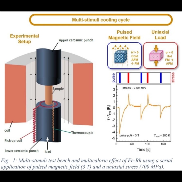 Multicaloric effect, exploiting the thermal hysteresis in a multi-stimuli cycle combining pulsed magnetic field and uniaxial load	