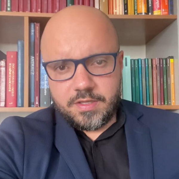 Inserção fenomenológica: fundamentos, historicidade e consequências
