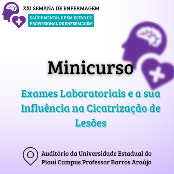 Minicurso 3