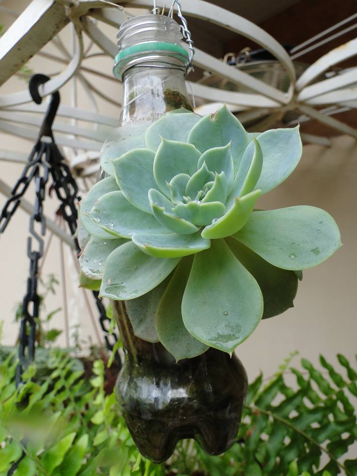 Mesa de Abertura Matutino