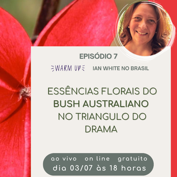 Episódio 7: Essências florais do Bush Australiano no triangulo do drama