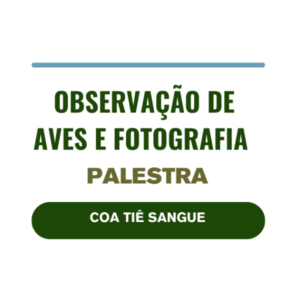 PALESTRA OBSERVAÇÃO DE AVES E FOTOGRAFIA NA NATUREZA