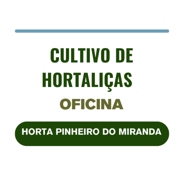 OFICINA CULTIVO DE HORTALIÇAS NA HORTA PINHEIRO DO MIRANDA