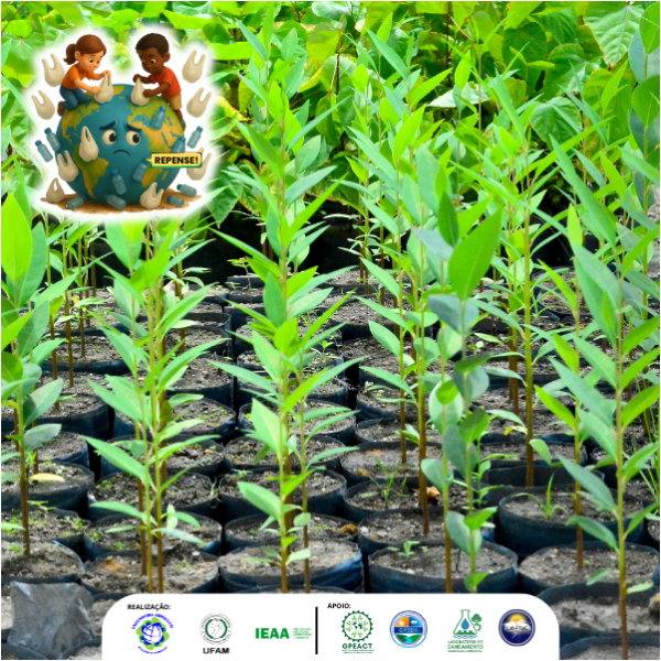 Distribuição de mudas de plantas