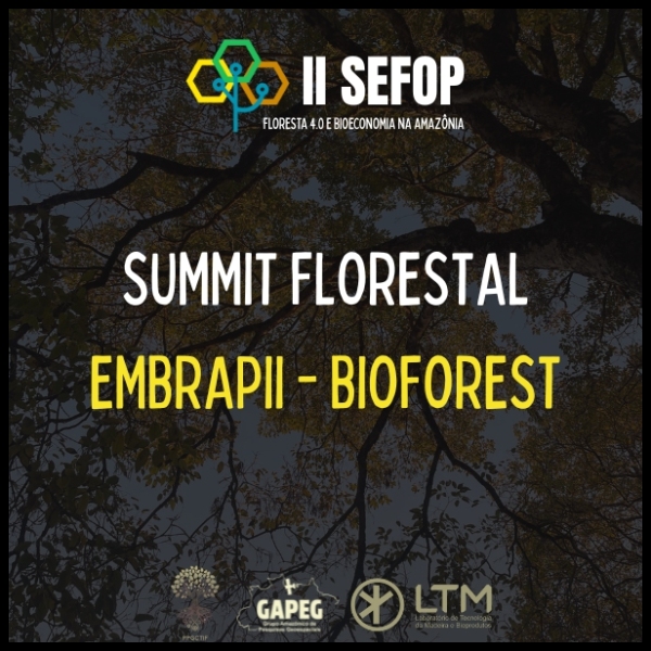 Summit Florestal