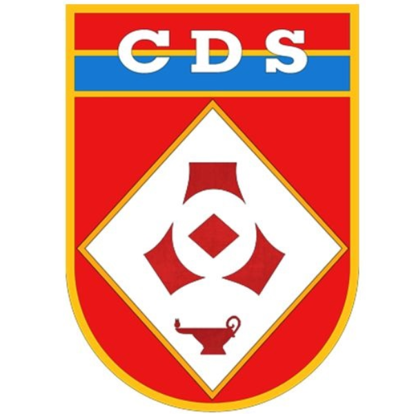 Palestrante 6: Exército/CDS