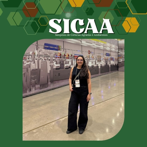 MC 2.12 - Como fazer a Revisão da Literatura para seu TCC?